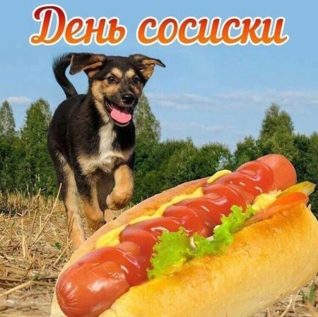День сосиски открытки