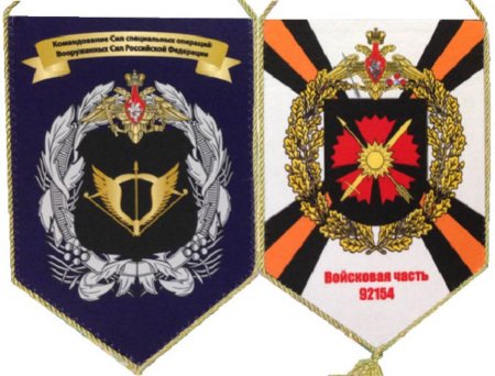 Знак ССО РФ