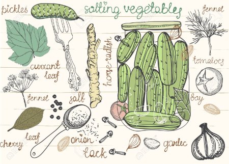 Маринованные огурцы рисунок