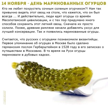 С днём солёного огурчика