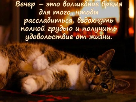 День общения с духом вечера 14 ноября