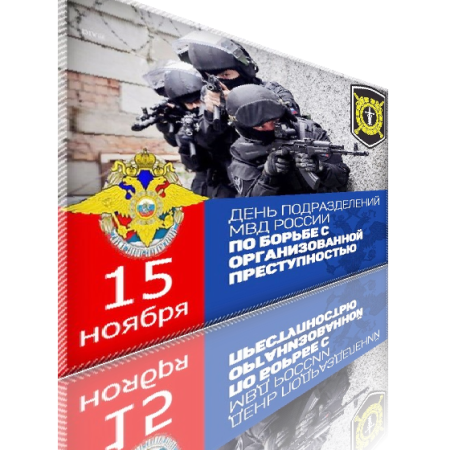 Подразделения по борьбе с организованной преступностью