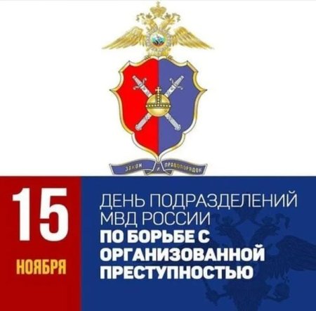День подразделений по борьбе с организованной преступностью