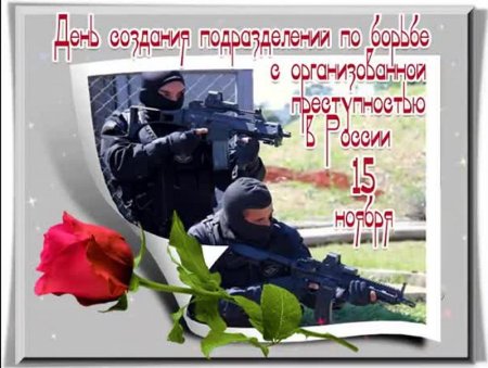 День подразделений по борьбе с организованной преступностью