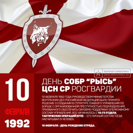 День подразделений по борьбе с организованной преступностью