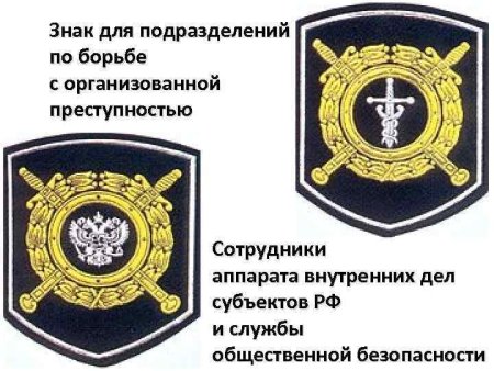 Подразделения по борьбе с организованной преступностью