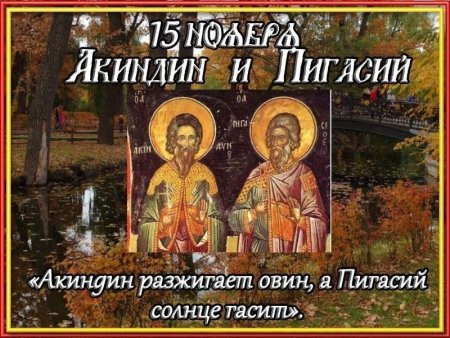 Акиндин и Пигасий народный праздник