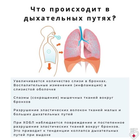 Хронические заболевания лёгких