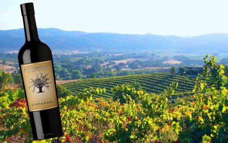 Виноградники Зинфандель в Калифорнии