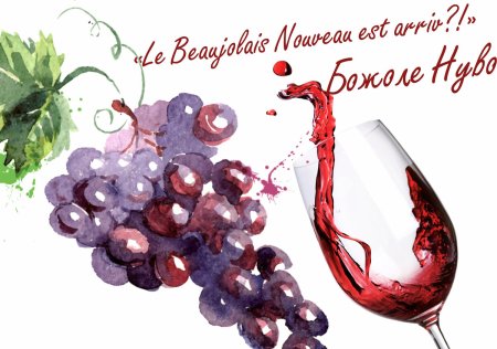 Вино Божоле нуво 2020