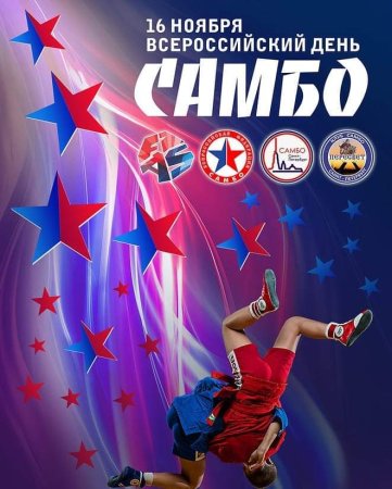 Всероссийский день самбо
