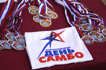Всероссийский день самбо