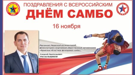 Всероссийский день самбо