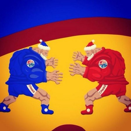 Самбо новый год