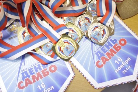 Всероссийский день самбо какую сделать поделку