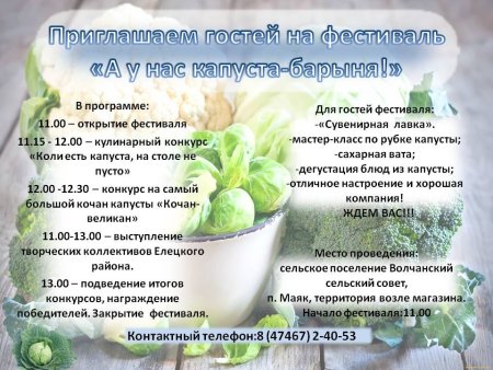 Реклама капусты