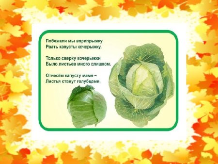 День капусты праздник