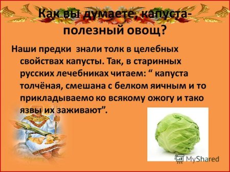 Детские стихи про капусту