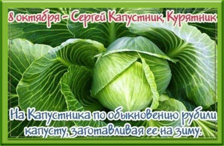 8 Октября день Сергея капустника