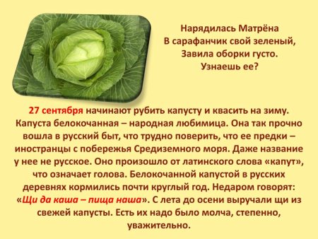 Стих про капусту