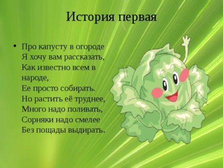 Рассказ о капусте