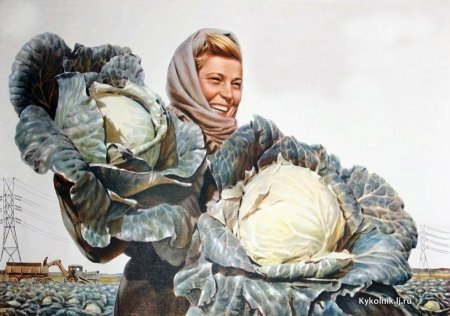 Советский плакат капуста