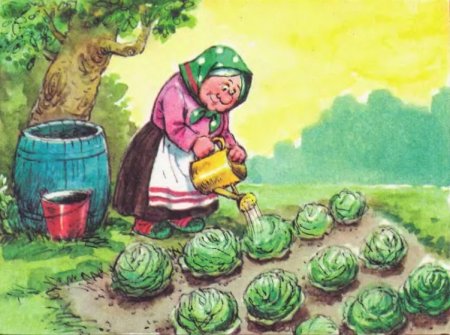 Бабушка в огороде для детей