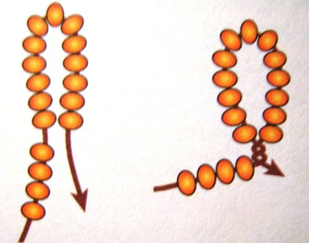 Техника бисероплетения