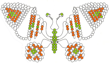 Схемы бисероплетения для детей