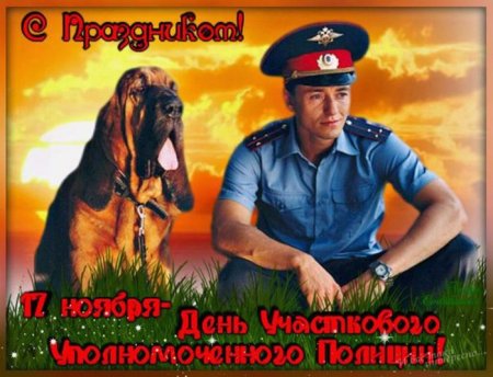 С днем участкового