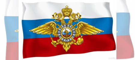 День участковых уполномоченных полиции