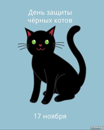 День черных котов и кошек