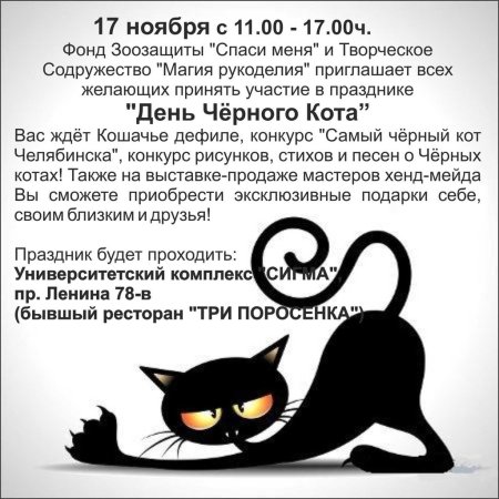 День защиты черного кота