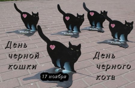 День черного кота