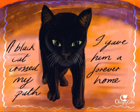 С днем черной кошки открытки