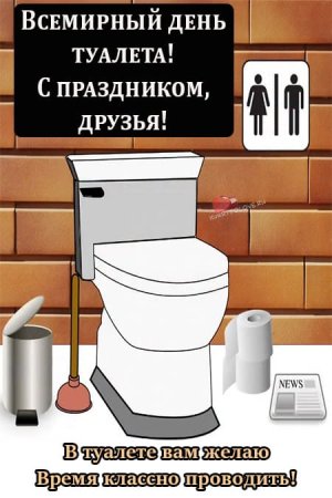 Всемирный день туалета 19 ноября
