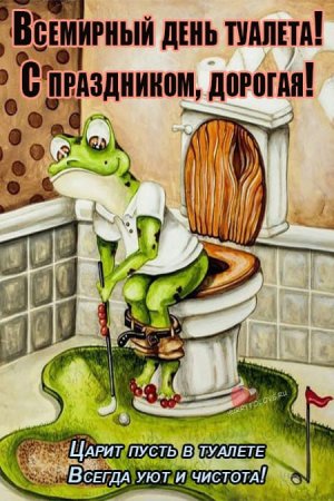 Всемирный день туалета 19 ноября