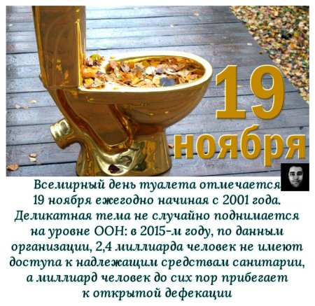 День туалета 19 ноября