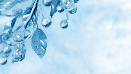 День стекольщика