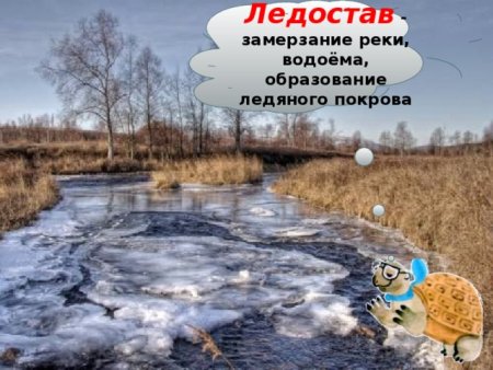 Павел ледостав 19 ноября