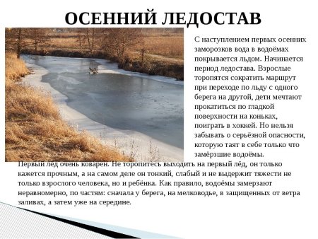 Презентация ледостав