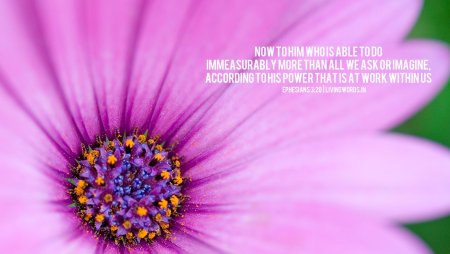 С днем предпринимателя поздравление картинки