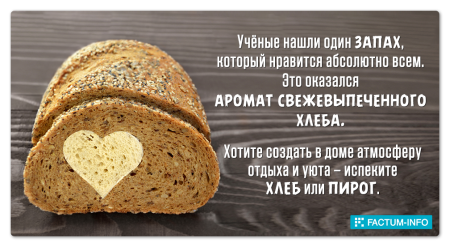 Интересные факты о хлебе