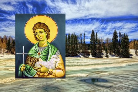 Федотов день 20 ноября