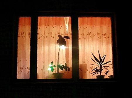 Светящиеся окна