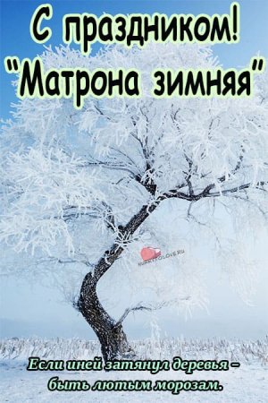 Матрена зимняя 22 ноября