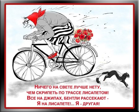 Цитаты про велосипед смешные