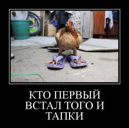 Кто раньше встал того и тяпки