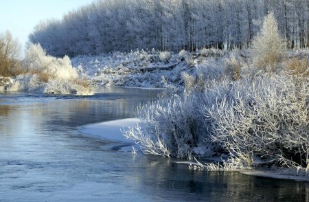 Родион и Ераст, Родион Ледолом