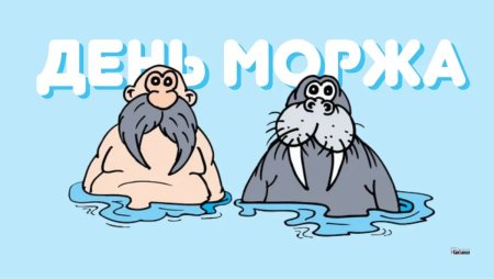 День моржа 24 ноября